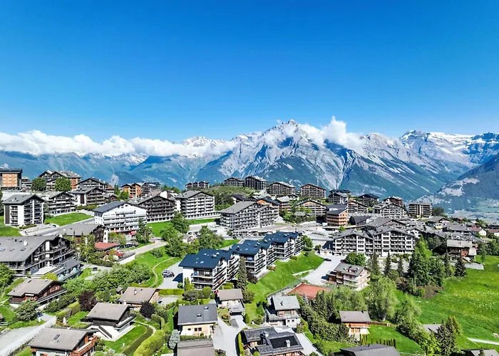 Domaine Des Reines A2 By Interhome Nendaz